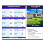 Financial Flyer Icon