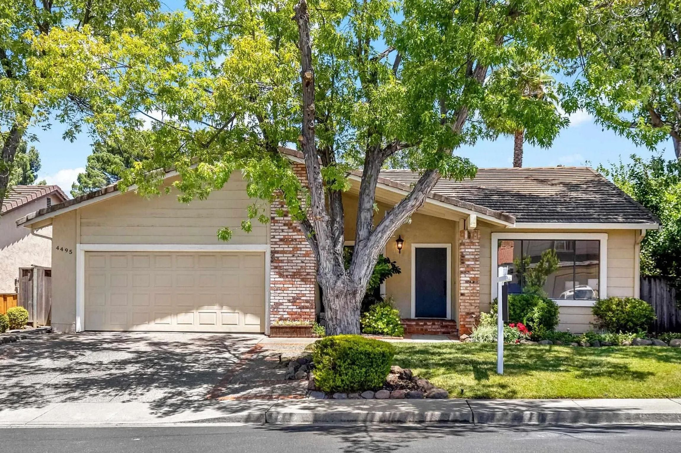 Coming Soon | 1211 Blake Berkeley CA